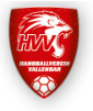 Handballverein Vallendar